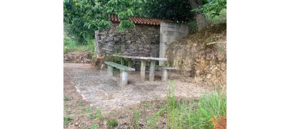 17500m² Land in Sever do Vouga, Portugal No. 256658 4