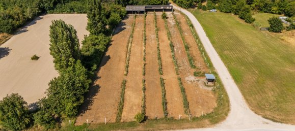 6غرفة منزل في Andlersdorf, Austria رقم 194793 27