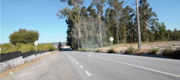 Grundstück in Felgueiras, Portugal 20000m², Nr. 45091 15