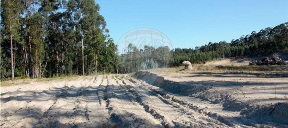 Grundstück in Felgueiras, Portugal 20000m², Nr. 45091 7