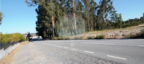 Grundstück in Felgueiras, Portugal 20000m², Nr. 45091 11