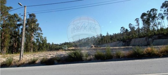 Grundstück in Felgueiras, Portugal 20000m², Nr. 45091 2