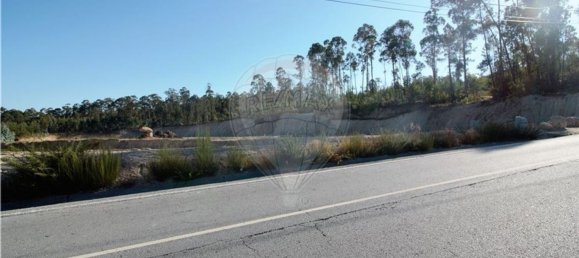 Grundstück in Felgueiras, Portugal 20000m², Nr. 45091 14