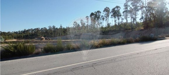 Grundstück in Felgueiras, Portugal 20000m², Nr. 45091 13