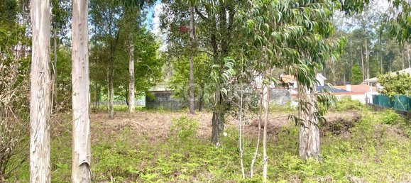 قطعة أرض في Cesar, Portugal 2450متر مربع رقم 81478 6