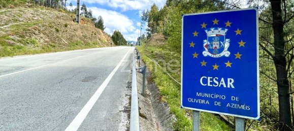 قطعة أرض في Cesar, Portugal 2450متر مربع رقم 81478 14