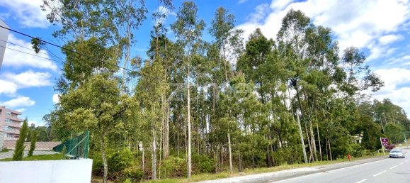 قطعة أرض في Cesar, Portugal 2450متر مربع رقم 81478 4