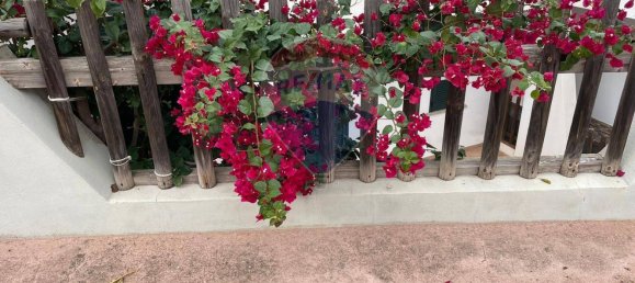 3-Zimmer Wohnung in Badesi, Italy, Nr. 136938 15