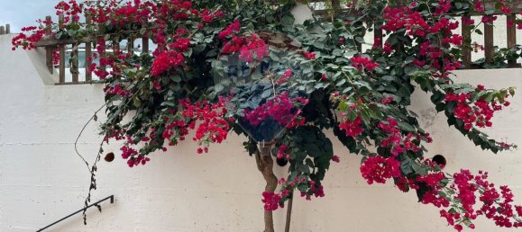 3-Zimmer Wohnung in Badesi, Italy, Nr. 136938 3