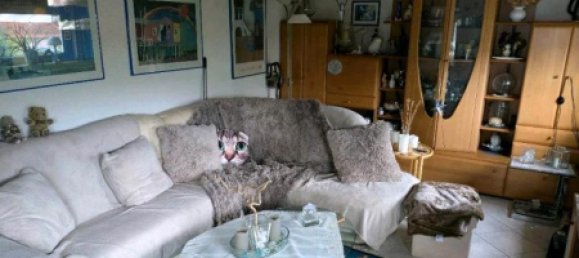 10-salle Maison de ville à Odenwaldkreis, Germany No. 276627 4