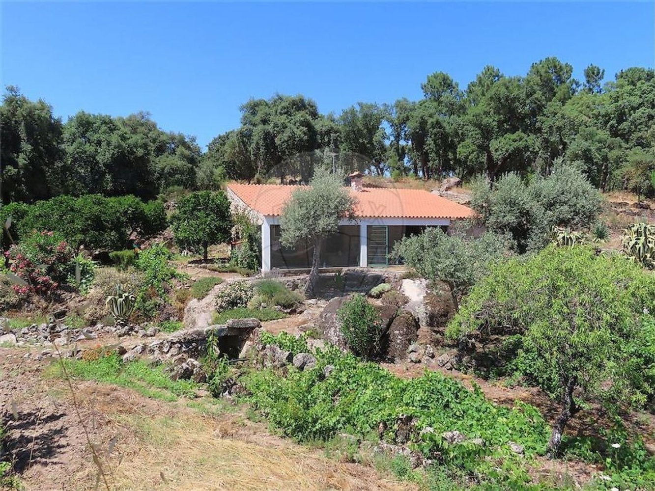 1 Schlafzimmer Haus in Fundao, Portugal, Nr. 203215