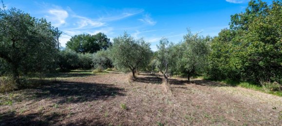 1 غرف نوم منزل في Poli, Italy رقم 351818 4