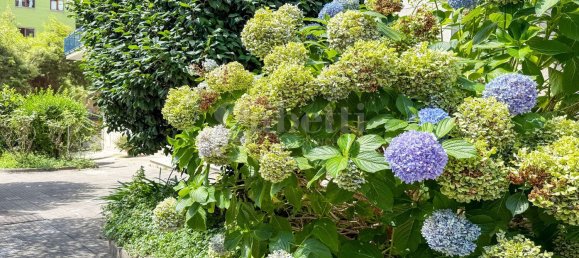 4 rooms Apartment in Naples, Italy No. 278056 41