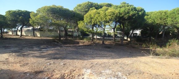 288m² Land in Almancil, Portugal No. 107394 6