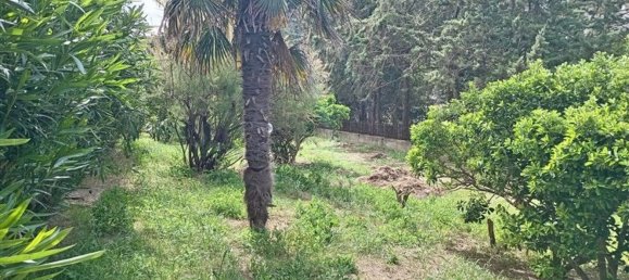 5 bedrooms Apartment in Sassari, Italy No. 343428 24