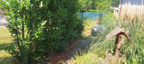 2 Schlafzimmer Bungalow in Harmannsdorf, Austria, Nr. 89031 18