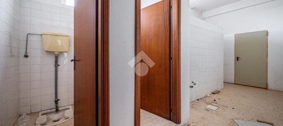 1 room Warehouse in Monteforte d'Alpone, Italy No. 54707 12