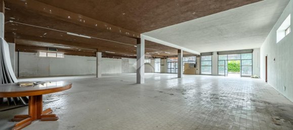 1 room Warehouse in Monteforte d'Alpone, Italy No. 54707 8