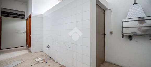 1 room Warehouse in Monteforte d'Alpone, Italy No. 54707 18