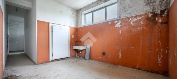 1 room Warehouse in Monteforte d'Alpone, Italy No. 54707 10