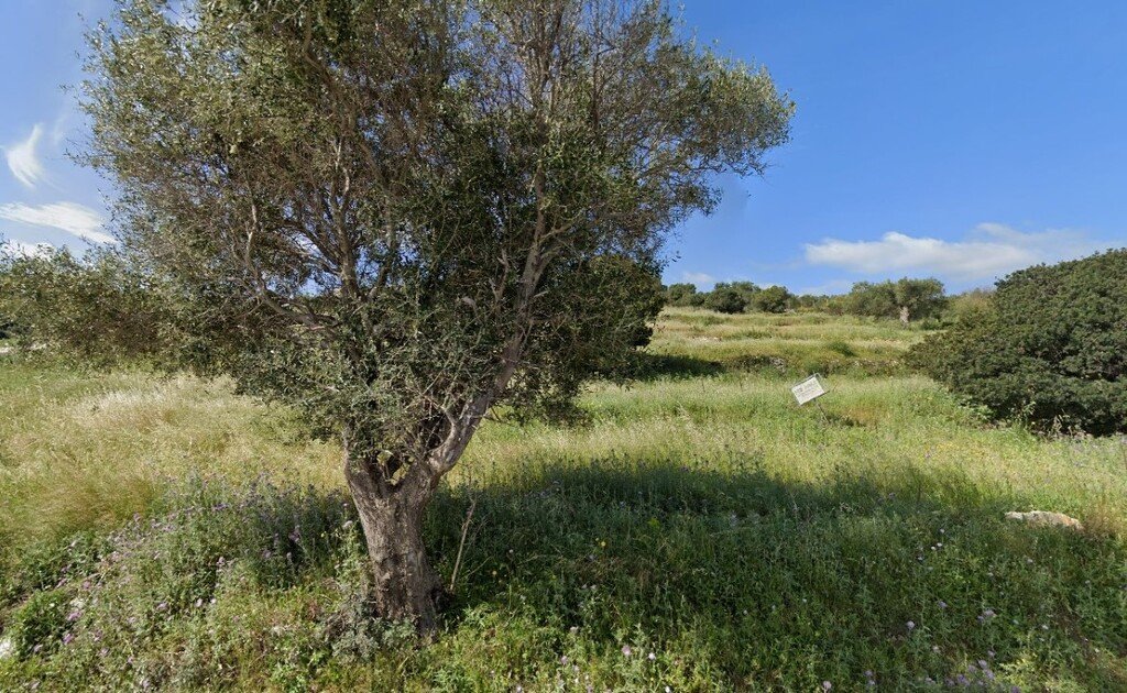  فندق في Zakynthos, Greece 4150متر مربع رقم 2499