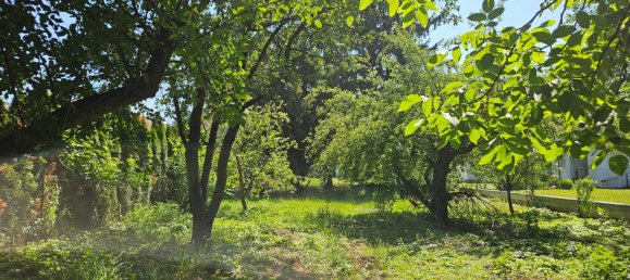Casa de 5 habitaciónes en Frankenau-Unterpullendorf, Austria No. 130454 3