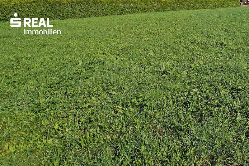 2000m² Land in Jennersdorf, Austria No. 31717