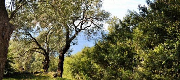 Hotel in Corfu, Greece 7606m², Nr. 4030 14