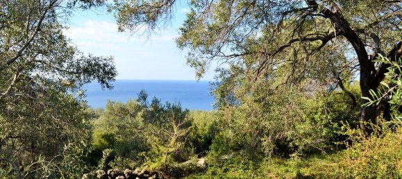 Hotel in Corfu, Greece 7606m², Nr. 4030 2