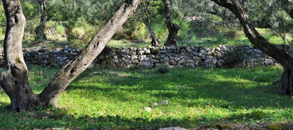 Hotel in Corfu, Greece 7606m², Nr. 4030 7