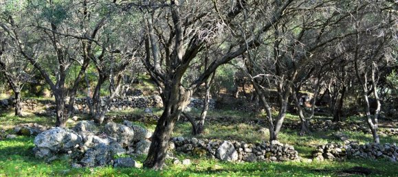 7606m² Hotel in Corfu, Greece No. 4030 22