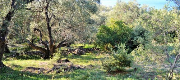 Hotel in Corfu, Greece 7606m², Nr. 4030 20