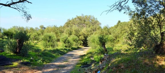 7606m² Hotel in Corfu, Greece No. 4030 26