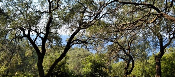 7606m² Hotel in Corfu, Greece No. 4030 15