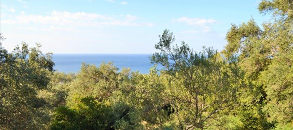 Hotel in Corfu, Greece 7606m², Nr. 4030 18