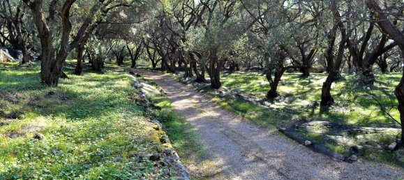 7606m² Hotel in Corfu, Greece No. 4030 25