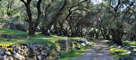 Hotel in Corfu, Greece 7606m², Nr. 4030 6