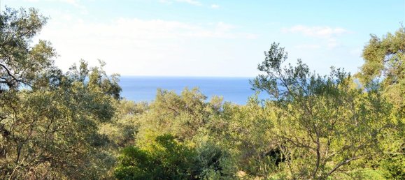 Hotel in Corfu, Greece 7606m², Nr. 4030 19