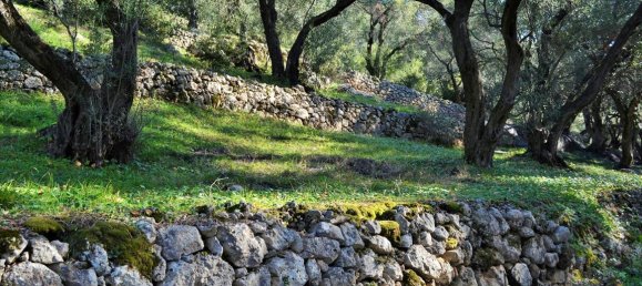 Hotel in Corfu, Greece 7606m², Nr. 4030 5