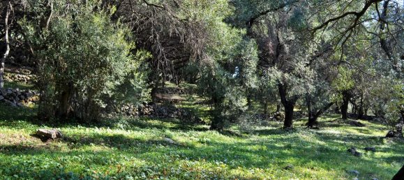 Hotel in Corfu, Greece 7606m², Nr. 4030 23