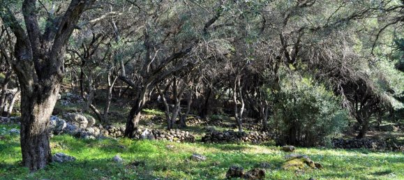 Hotel in Corfu, Greece 7606m², Nr. 4030 12