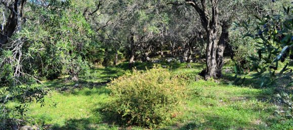 Hotel in Corfu, Greece 7606m², Nr. 4030 17