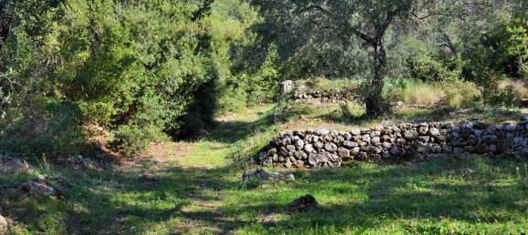 Hotel in Corfu, Greece 7606m², Nr. 4030 8