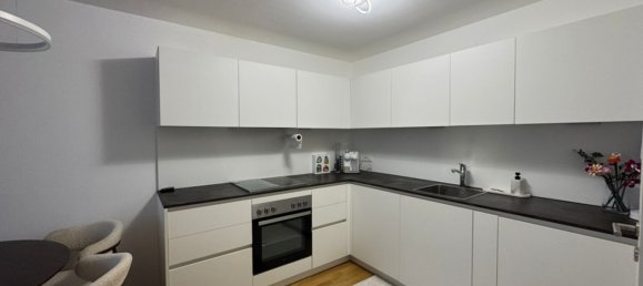 Квартира с 2 комнатами в Зонтаг, Австрия № 213785 7