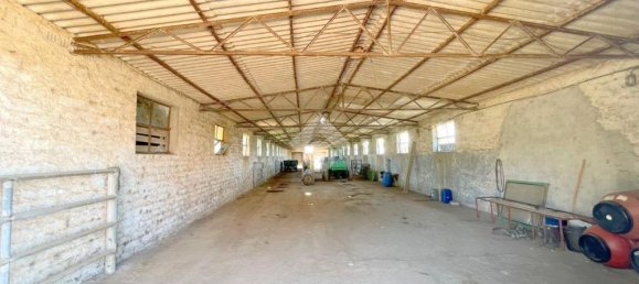 6 bedrooms Villa in Velletri, Italy No. 273426 35