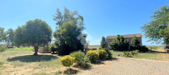 6 bedrooms Villa in Velletri, Italy No. 273426 36