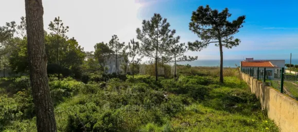  قطعة أرض في Sintra, Portugal رقم 90791 2