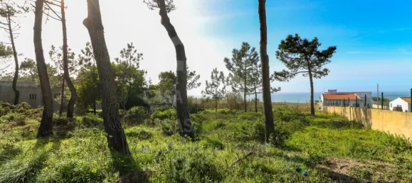  قطعة أرض في Sintra, Portugal رقم 90791 3