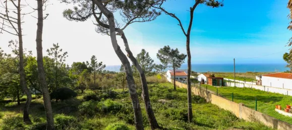  قطعة أرض في Sintra, Portugal رقم 90791 12