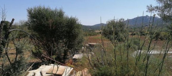 4 rooms House in Olbia, Italy No. 222889 18